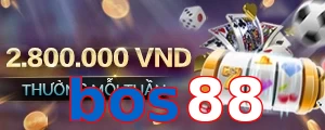 bos88